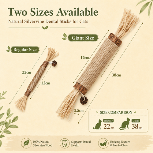 Natural Silvervine Dental Sticks for Cats