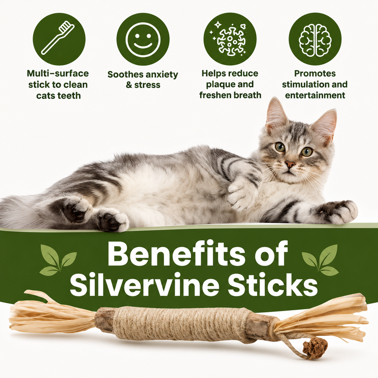 Natural Silvervine Dental Sticks for Cats