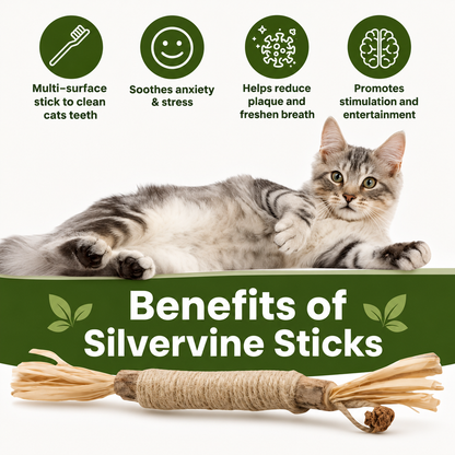 Natural Silvervine Dental Sticks for Cats