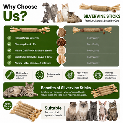 Natural Silvervine Dental Sticks for Cats
