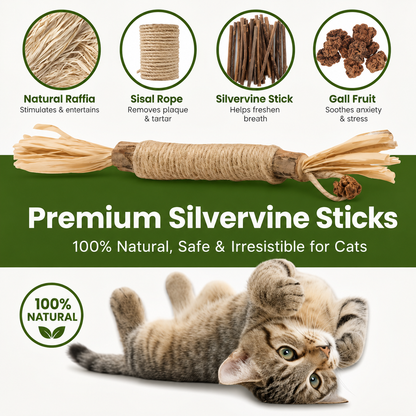 Natural Silvervine Dental Sticks for Cats