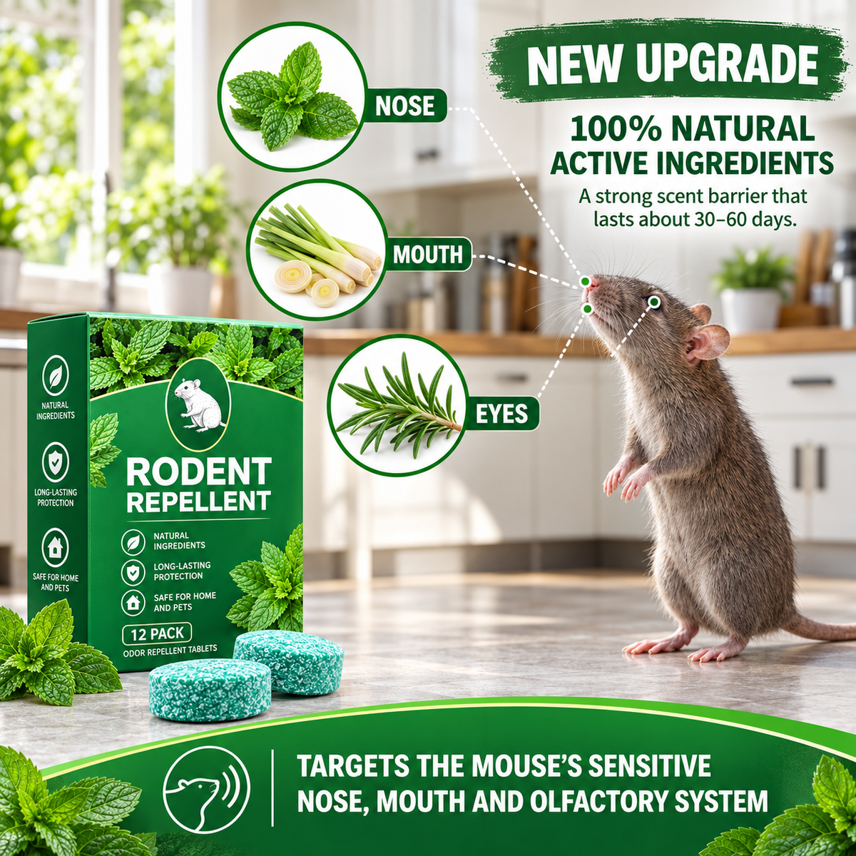 12 Pack Peppermint Pest Repellent Balls - Mice Rats Spiders Gone! ✅