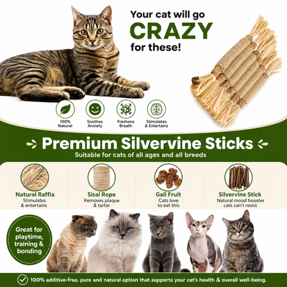 Natural Silvervine Dental Sticks for Cats